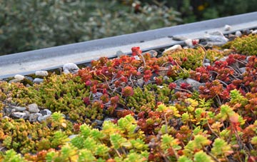 the cost of Newtown In St Martin green roof installation