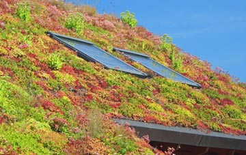 Newtown In St Martin living roof systems
