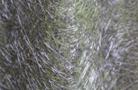 Newtown In St Martin fibreglass roof work